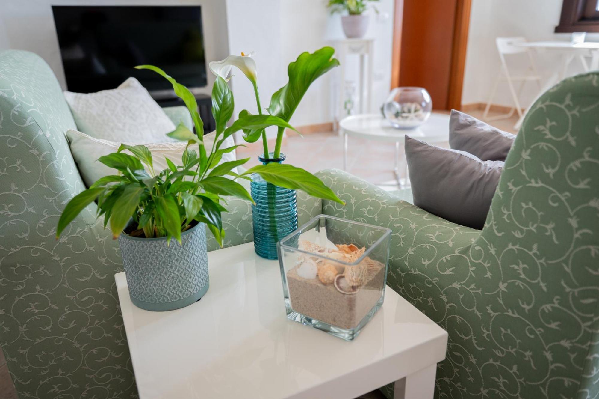 Casa Martina Hotel Pula Eksteriør billede